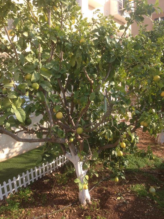 Yaakov'S Apartment Migdal Ha'Emeq Ngoại thất bức ảnh